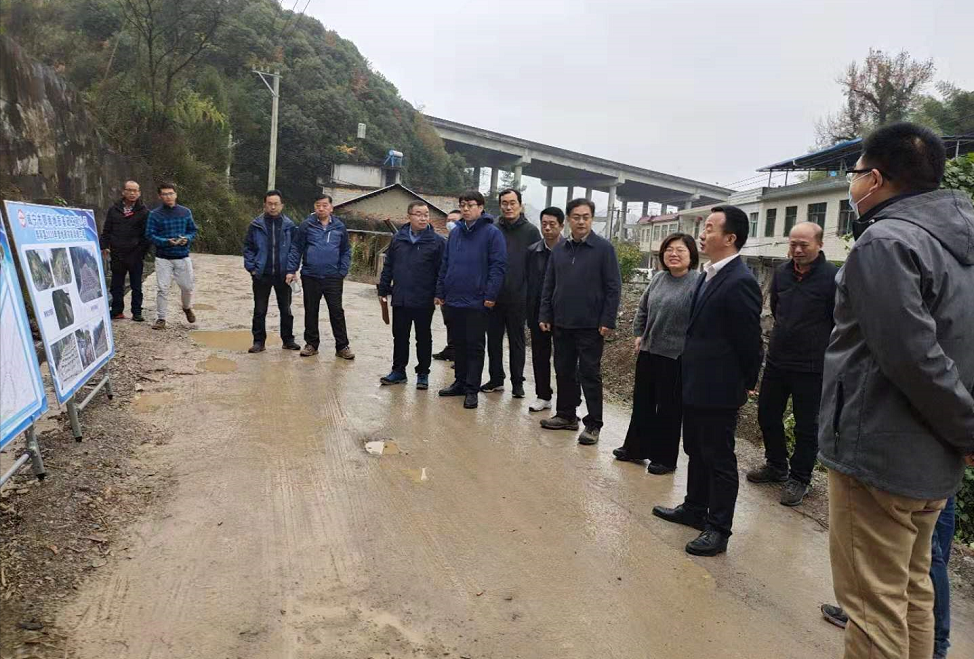 自然资源部工作组指导调研崇阳县地质灾害防治工作